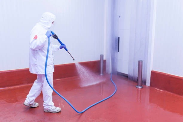 Best Playground Equipment Cleaning  in Adel, IA